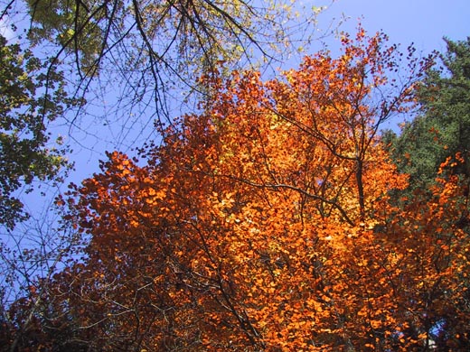 Oktober in Hopferau